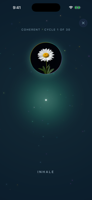Breathwork session — guided breath with luminous field